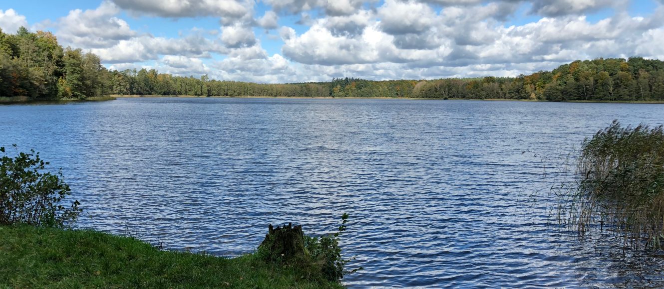 iPhone 8 zdjęcie testowe 2